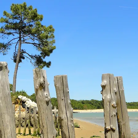Le Nautile