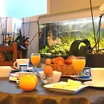 Le Nautile Hotel